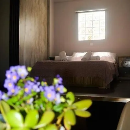 Modern Cosy In The Historical Centre